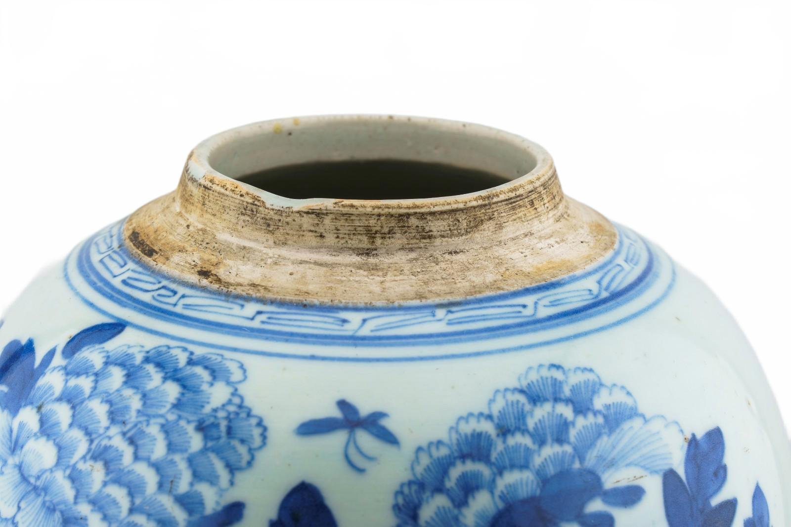 Chinese Porcelain Ginger Jar Blue White Butterfly Peony Late Qing Period 19th C - Image 3