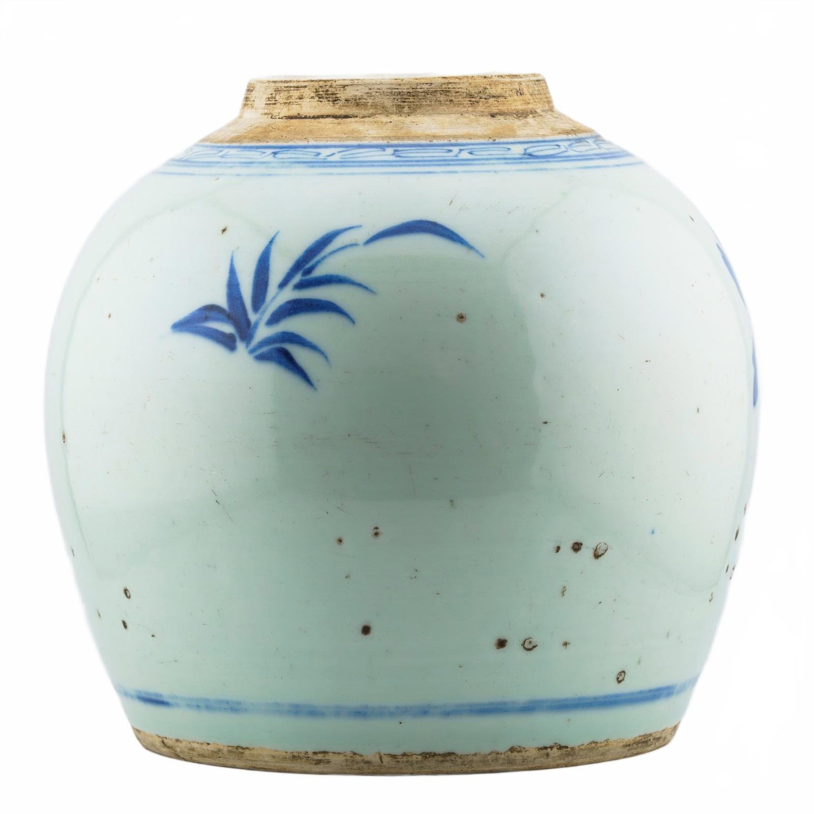 Chinese Porcelain Ginger Jar Blue White Butterfly Peony Late Qing Period 19th C - Image 7