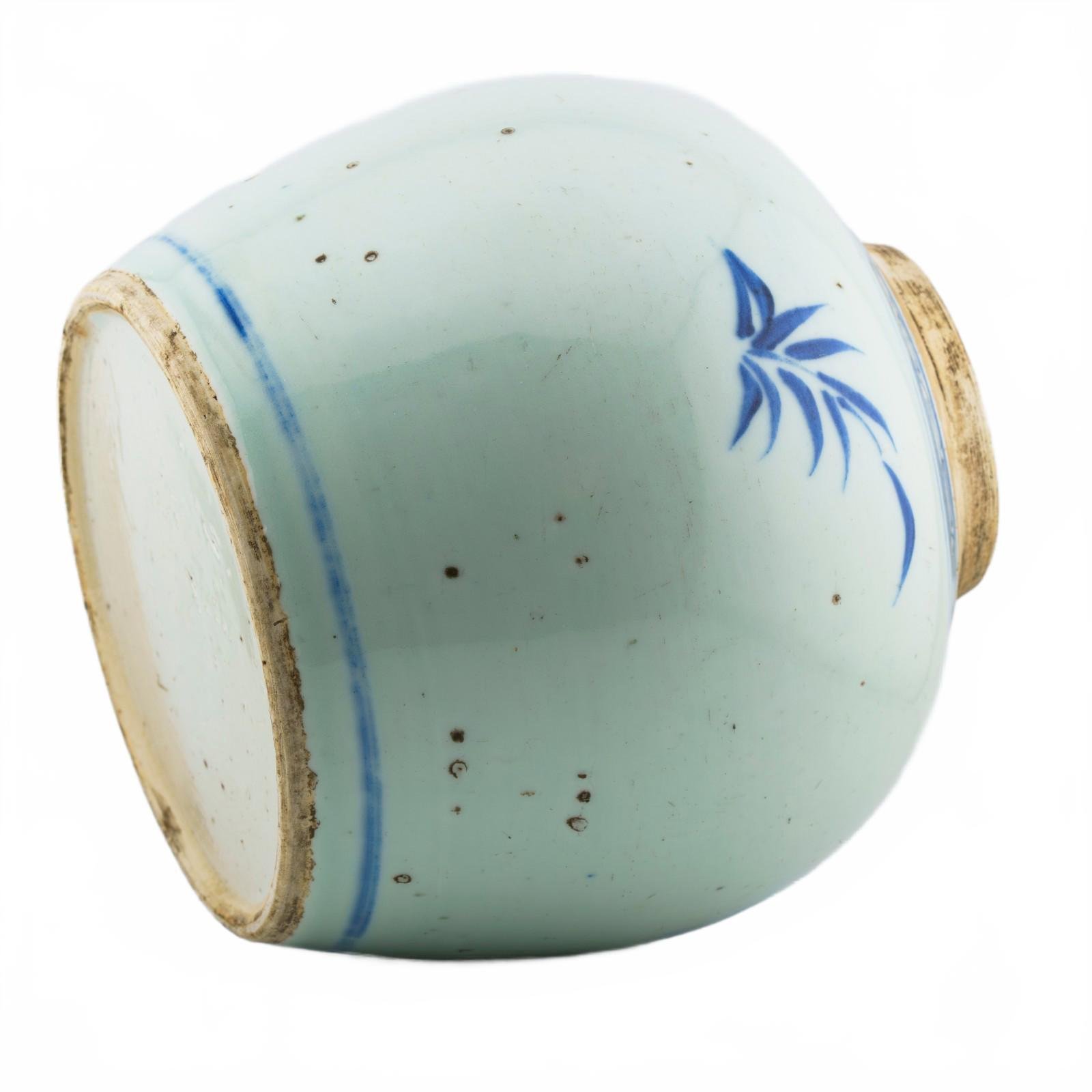 Chinese Porcelain Ginger Jar Blue White Butterfly Peony Late Qing Period 19th C - Image 11