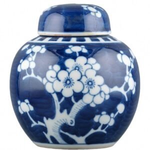 Chinese Guangxu Porcelain Ginger Jar Blue White Prunus Qing Period 20th Century