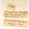 OTOAntiques Ltd.