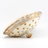OTOAntiques Ltd.