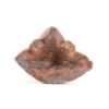 OTOAntiques Ltd.