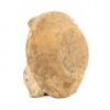 OTOAntiques Ltd.