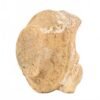 OTOAntiques Ltd.