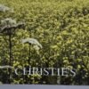 OTOAntiques Ltd.