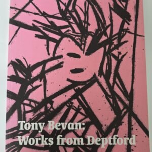 Tony Bevan Works Deptford 2003 Exhibition Catalogue Abbott Hall Gallery Book