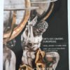 OTOAntiques Ltd.