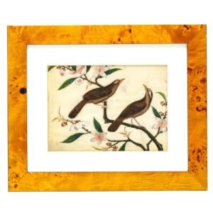 Chinese Watercolor Painting Pith Paper Birds Framed Glossy Glassed Qing 19th C