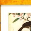 OTOAntiques Ltd.
