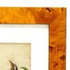 OTOAntiques Ltd.