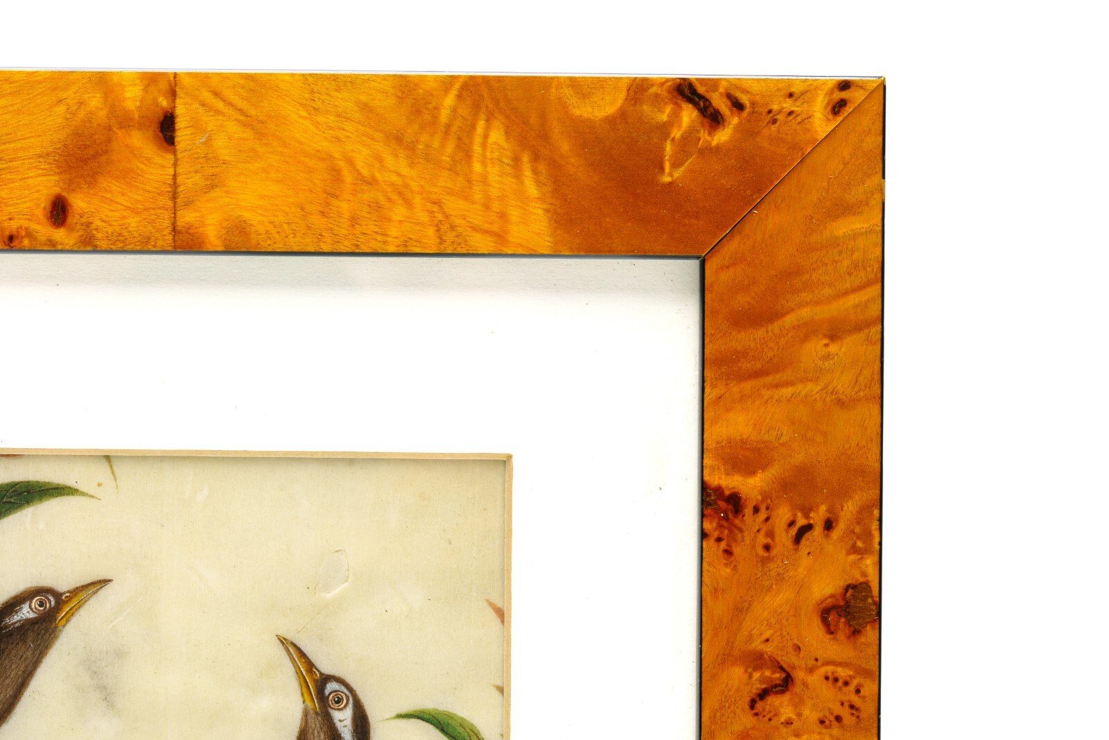 OTOAntiques Ltd.