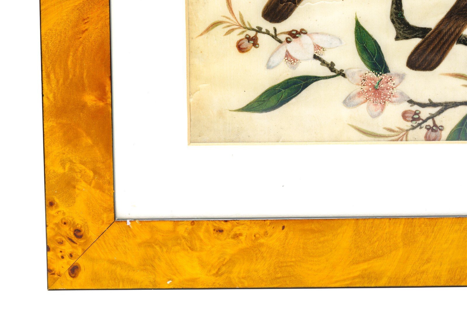 OTOAntiques Ltd.