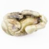 OTOAntiques Ltd.