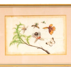 Chinese Watercolor Painting Pith Paper Spider Fly Framed Gilt Glassed Qing 19th