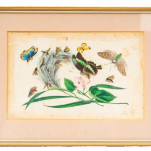 Chinese Watercolor Painting Pith Paper Butterfly Framed Gilt Glassed Qing 19th C