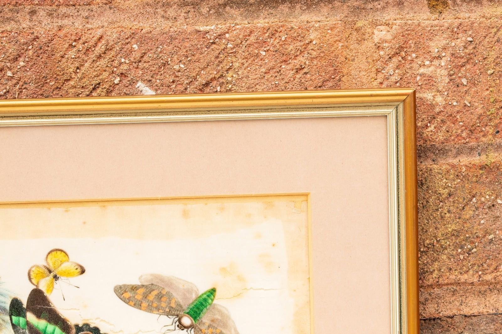 OTOAntiques Ltd.