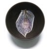 OTOAntiques Ltd.