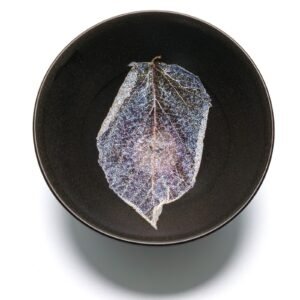 Chinese Ceramic Tenmoku Tree Leaf Bowl Black Glazed Stoneware Asian Modern 21thC