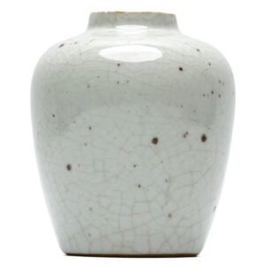 Chinese Porcelain Vase Ge Type Crackle Guan Celadon Glaze Monochrome Qing 19th C